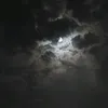 p_om1
