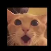 eskebede_toylet1
