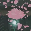 n00nam09