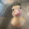 minhthu_dayyno