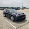 mustangman516