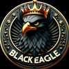 eagle0flying