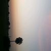 mohammaddawood685