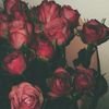 reine22802
