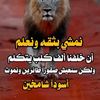 zakriaalsiani11111111111