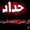 alizainabfat2