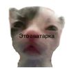 sobachkigavgav