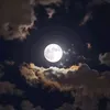 shazya1243