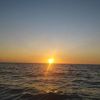 sophiaromanov7