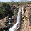 williamsegawa