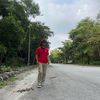 apie_ld