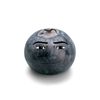 blueberry_man124