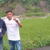 Wahyu Majalengka