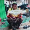 rudikamsiah