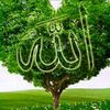 user1778486909852