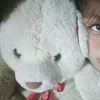 sifa_disaya062301