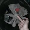 used02674