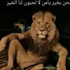 5yuosef