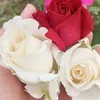 user581330312