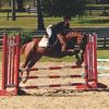 eqcourage