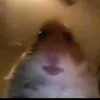 downbad126
