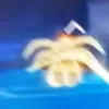 bloxfruit_baddha01