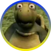robo_rr