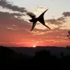 acordasmatas