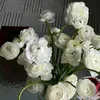 hannah_annah2777