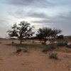 khaledzaid29