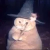 .pta_03