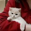 gha_ymaa08