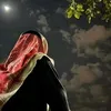 dulaimy11