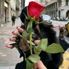 mamich.nour.el.ho
