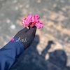 ﮼إبنة،محمد ᥫᩣ