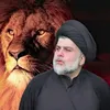 .z_e5