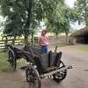 ewaantosiak8