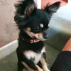 laylafloof