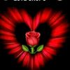 user18252029