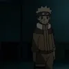 hawksilpollo