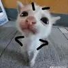 miguelangel_cs7
