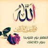 waleedahmed3585