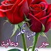 muhannadodeh1