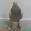 garbjee