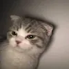 fahriiiaja