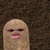 kentankcrunky
