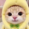 mychiaa.aaa
