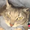 titasanyaa