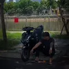 nguyenthaiduu
