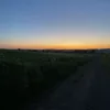 xmarthax7